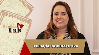 Explica Direito Filiação Socioafetiva  2019 [upl. by Frayne]