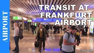 TRANSIT WALK AT FRANKFURT Airport FRA Terminal 1  Connection Flight Transfer Arriving amp Departing [upl. by Aner682]